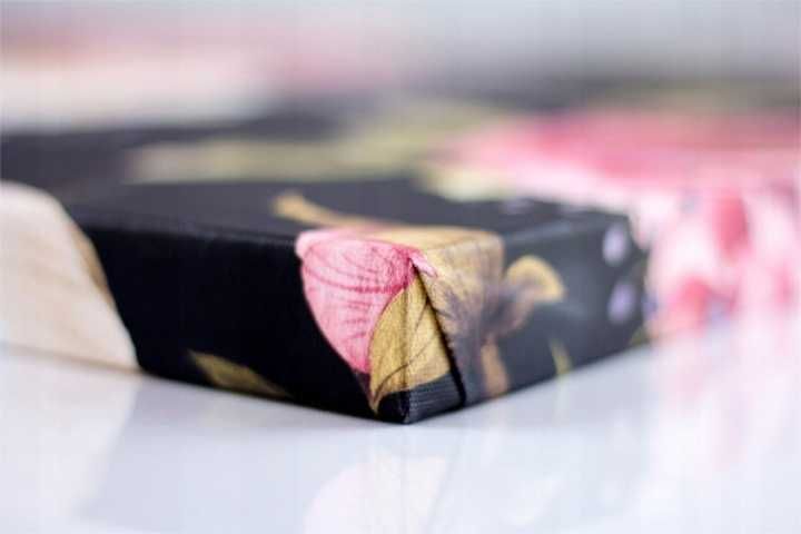 Obraz dla Dzieci Dziecka Zwierzęta Tryptyk Zestaw 4-elementowy 50x50