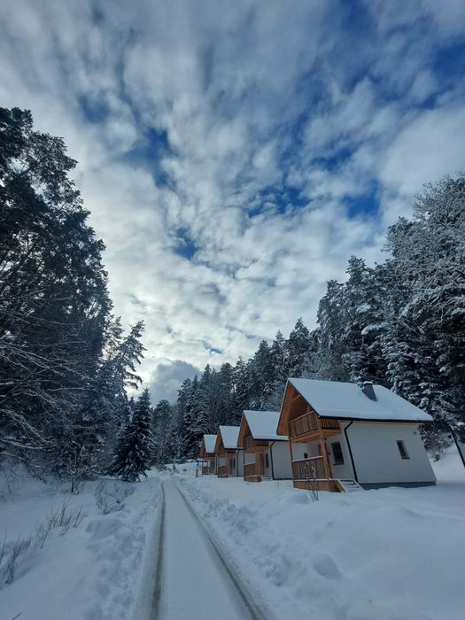 Domki w Bieszczadach - Ferie zimowe