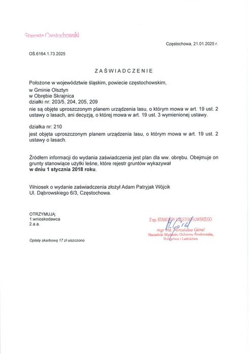 Działka 5,7 ha na Jurze | Część budowlana 3700m² +las| Wszystkie media