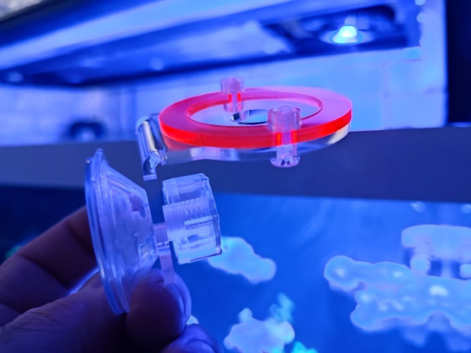 Akwarium morskie półka podstawka pod koralowce szczepki