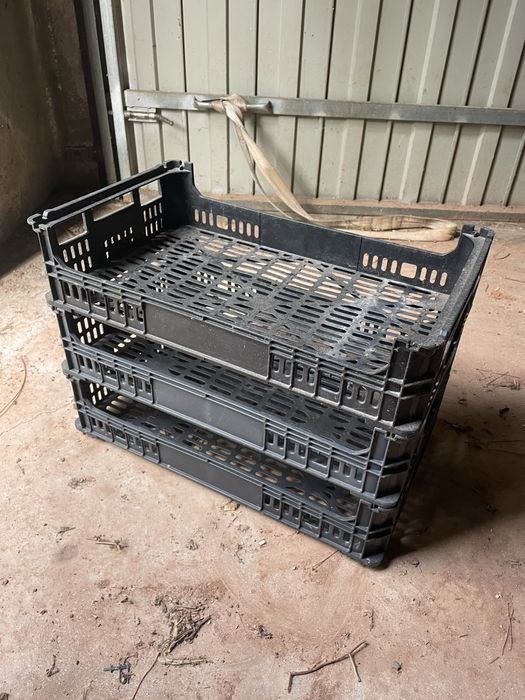 Caixas de fruta, de uma camada