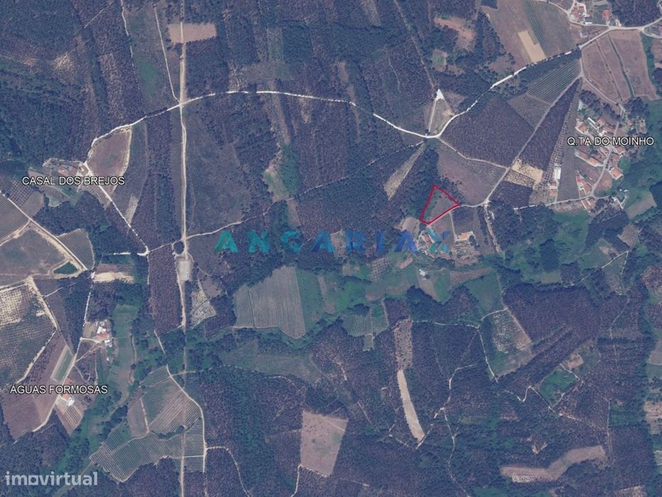 ANG1017 - Terreno de 4174m2 à Venda em Maceira, Leiria