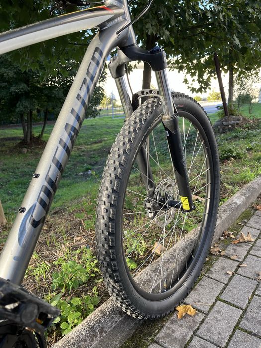 Specialized Roda 29 rockhopper