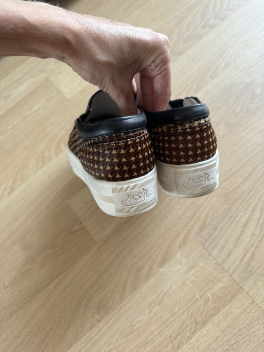 Лофери/сліпони ASH