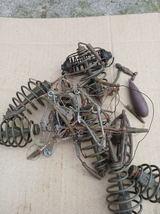 Годiвниця рибацька