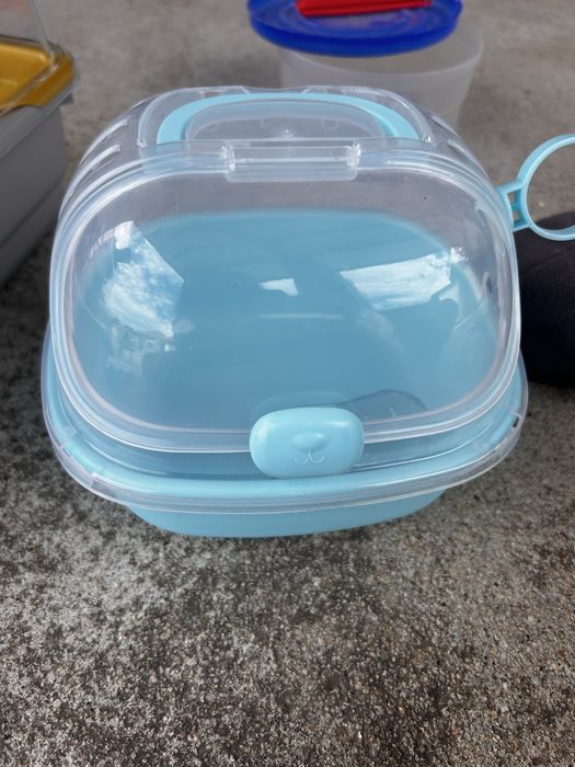 kit completo para hamster