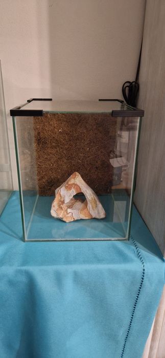 Terrarium wraz z akcesoriami