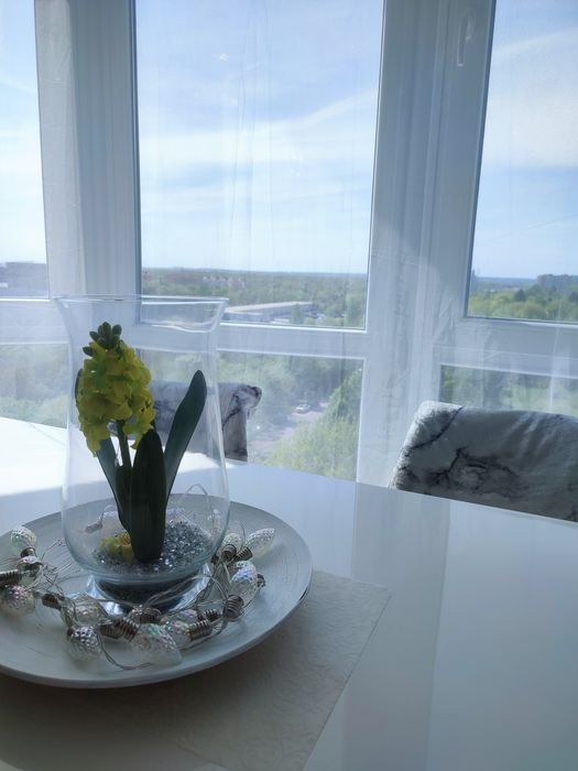 Подобово оренда квартири в новобудові вул. Стрийська / Трускавецька