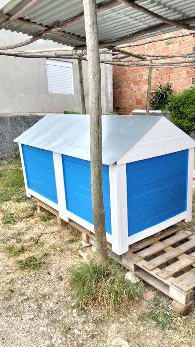 Casota XXL com jardim