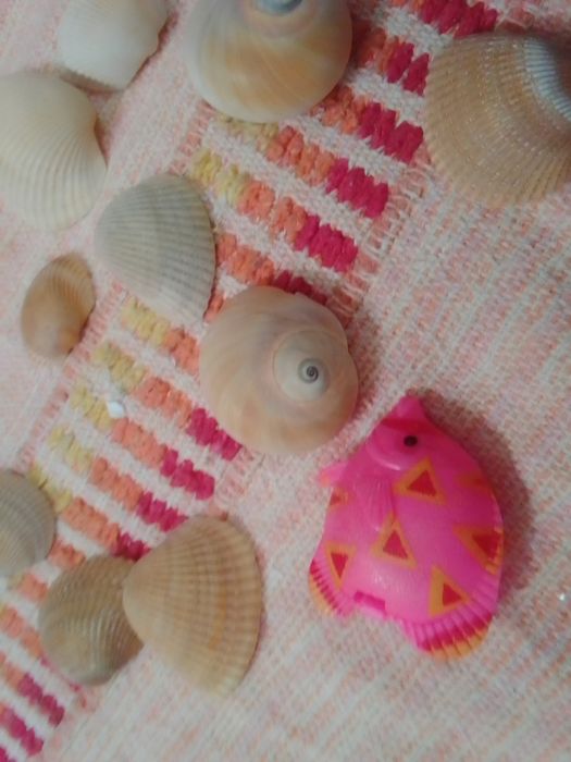 Peças para aquário de peixes só 3€