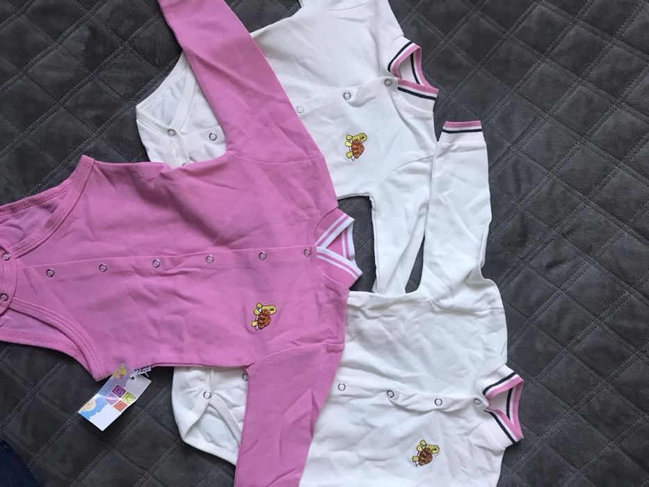 Бодіки 62, 80