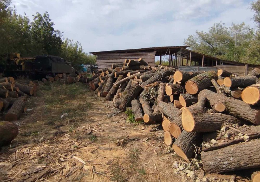 Продаж дров на зиму • Колоті, сухі, Акаця дліна 21-25 см ,мелкий покол