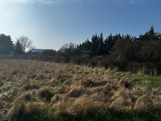 Gralewo działka budowlana 2500m2 wszystkie media