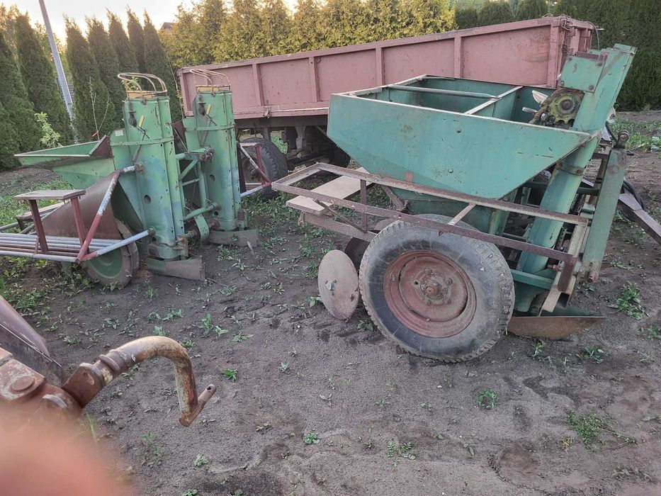 Sadzarka do ziemniaków podkiełkowanych
