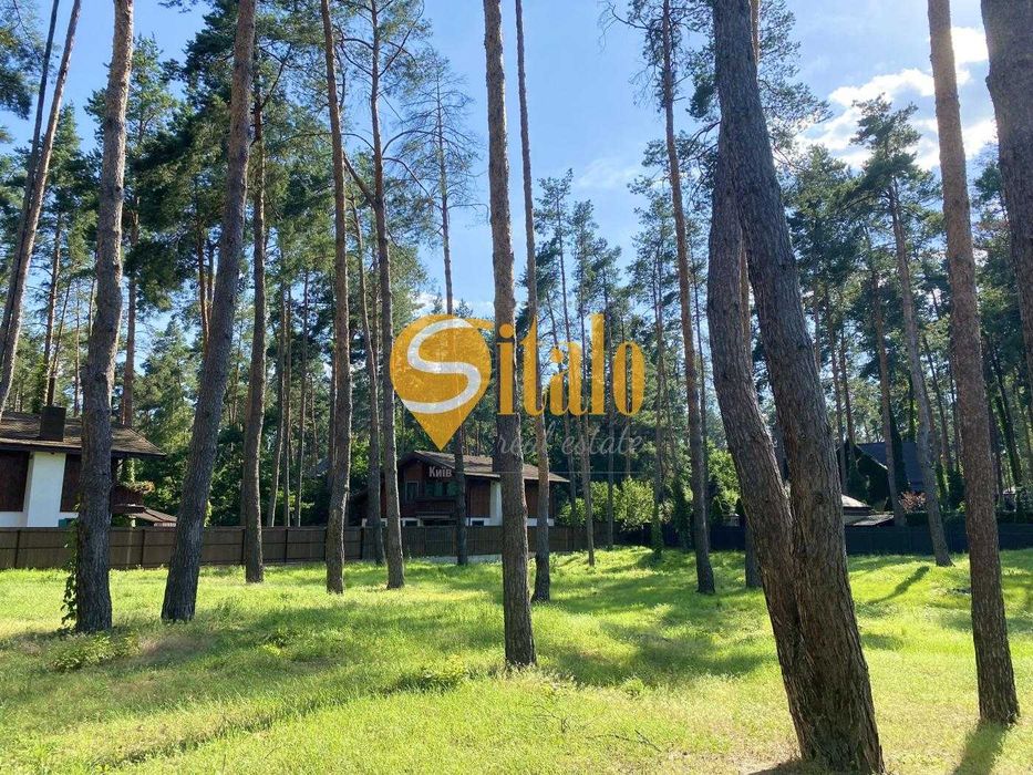 У сосновому лісі біля Романківська Усадьба, Новообухівський напрямок!