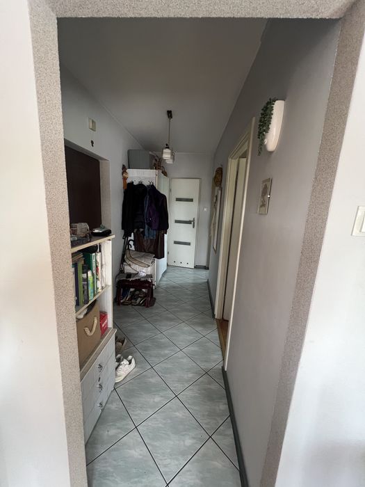 Zdjęcie 8