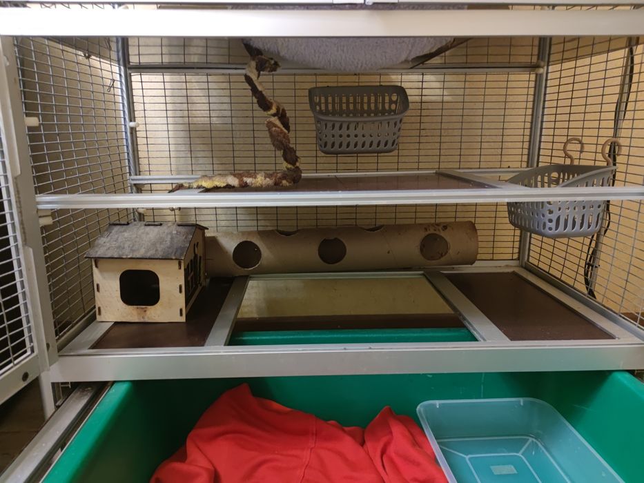 Клітка вольєр для крис, тхорів, шиншил