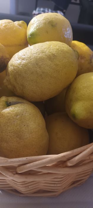 Limão biológico apenas 1€kg entrega