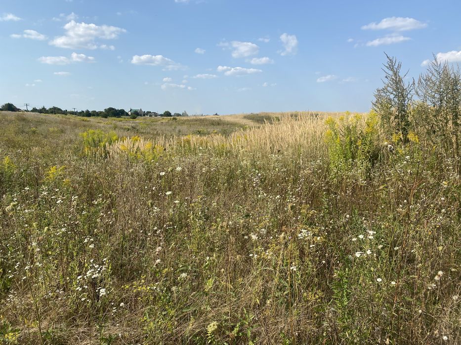 Продам земельну ділянку під забудову в с. Новостав