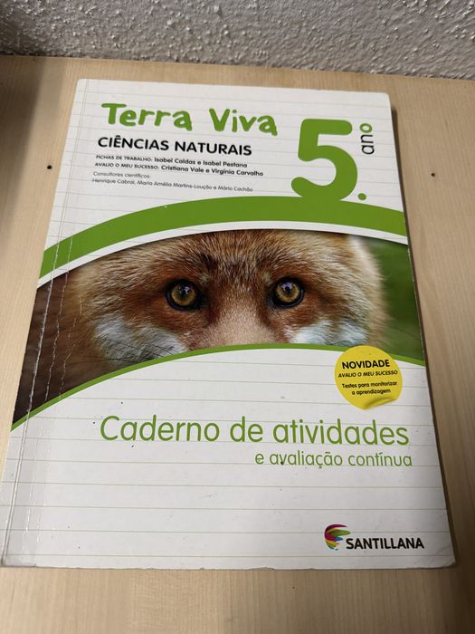 Cadernos de actividades 5° Ano (Fichas)