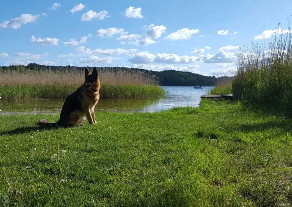 domek letniskowy nad jeziorem
