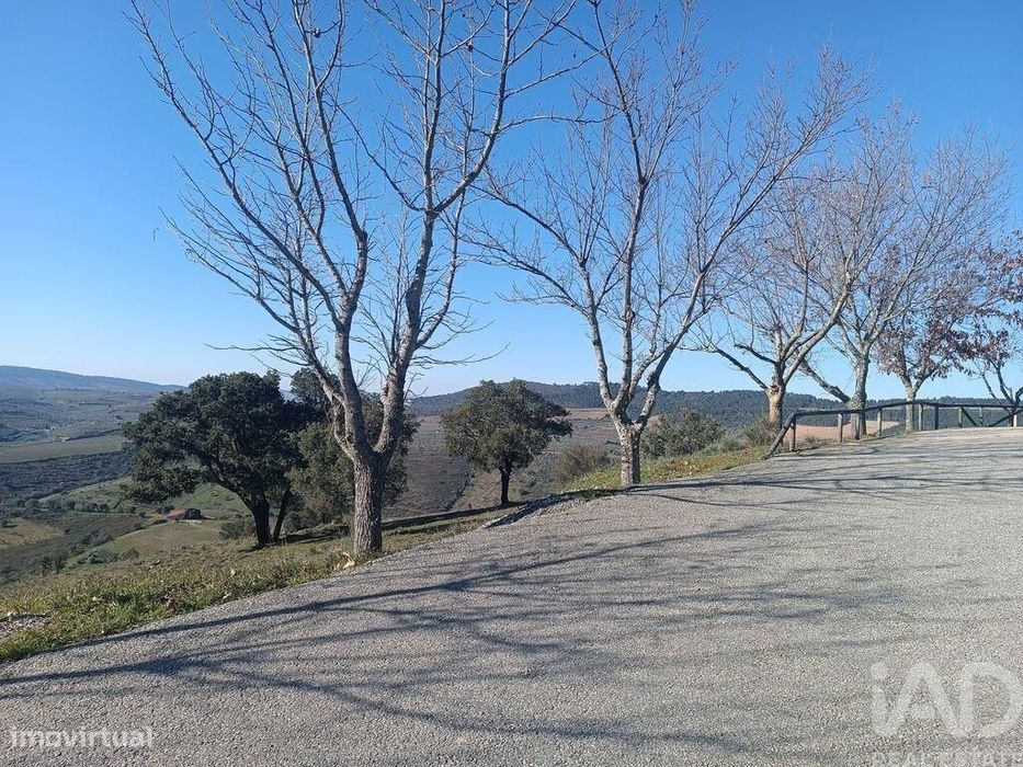 Terreno em Freixo de Espada à Cinta e Mazouco de 49572,00 m2