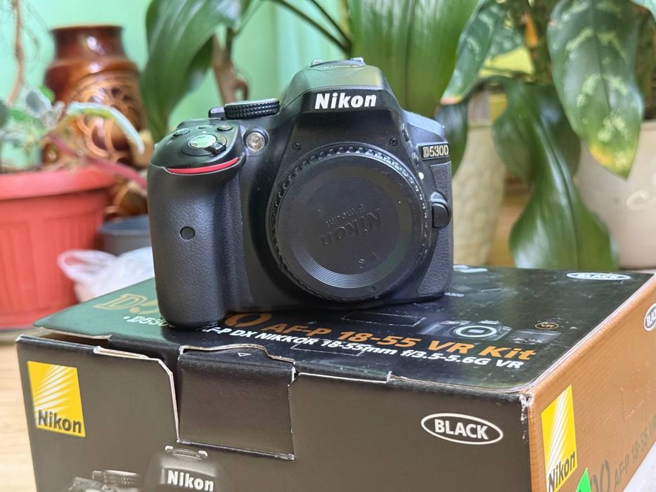 фотоапарат Nikon D5300 AF-P 18-55