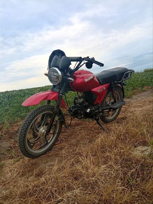 Mustang Dingo MT-125