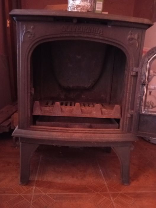 Salamandra Oliveirinha