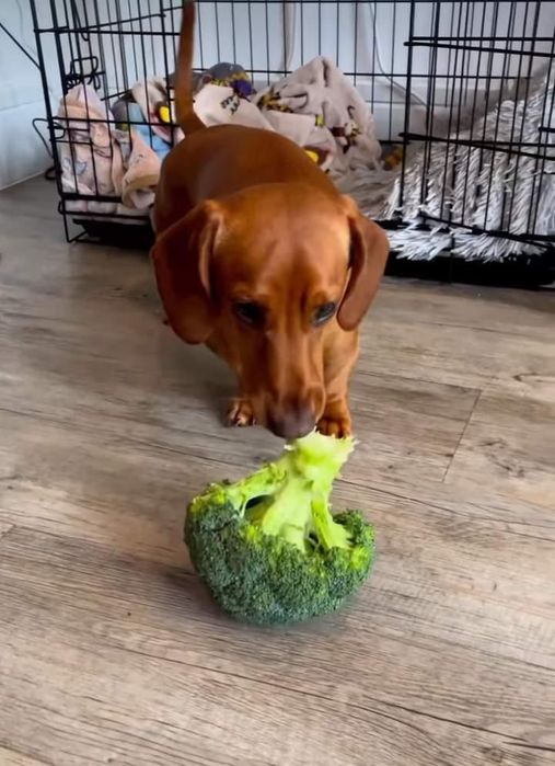 Хлопчики вони дуже хороші