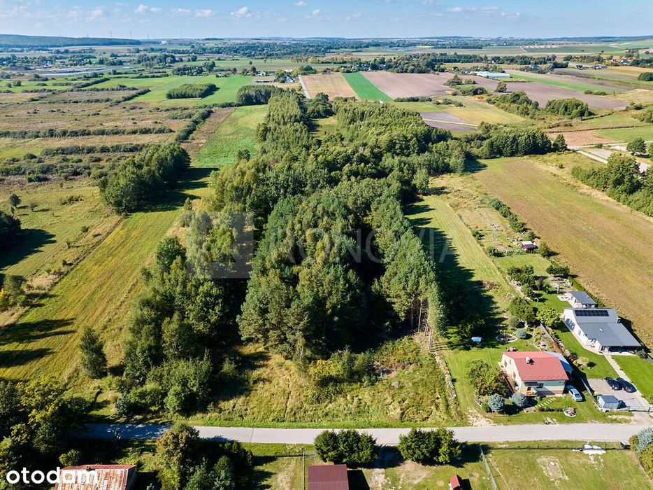 Działka budowlana Jagodne gmina Chełm 30a - Widok 4