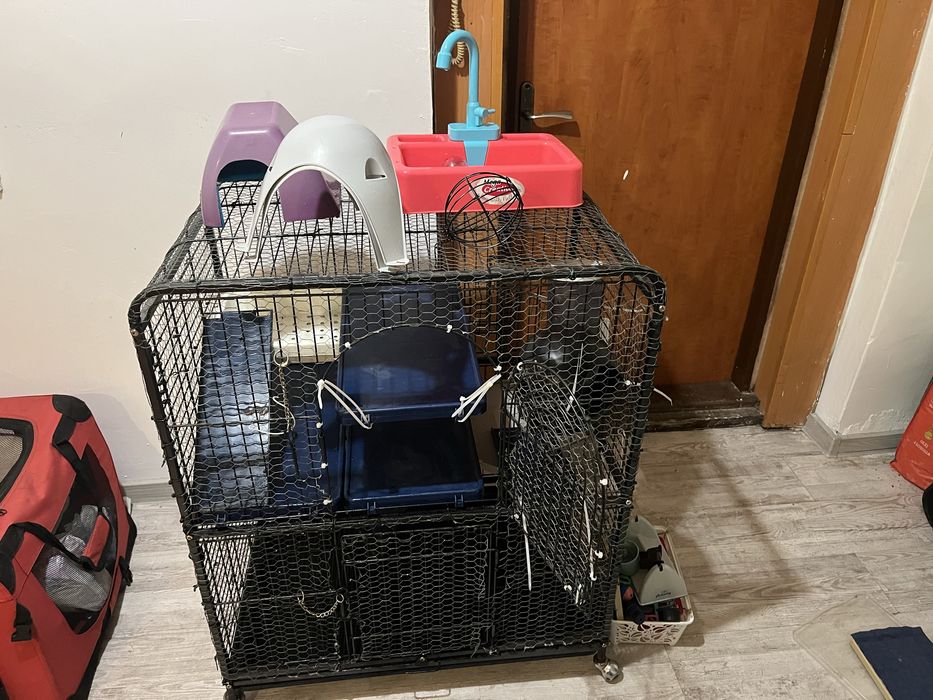 Duża klatka dla szczurów z wyposażeniem