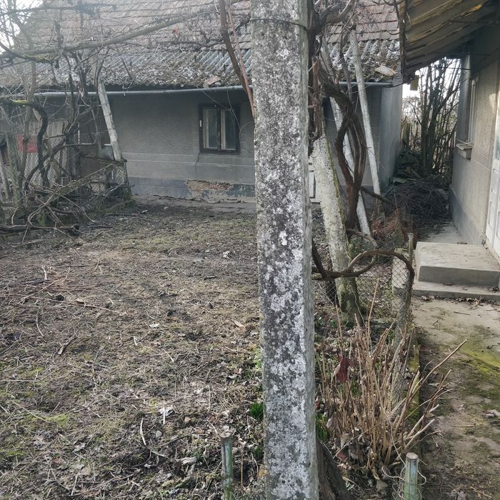 Продається будинок у с. Шаланки