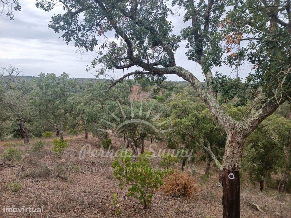 Terreno São Francisco da Serra
