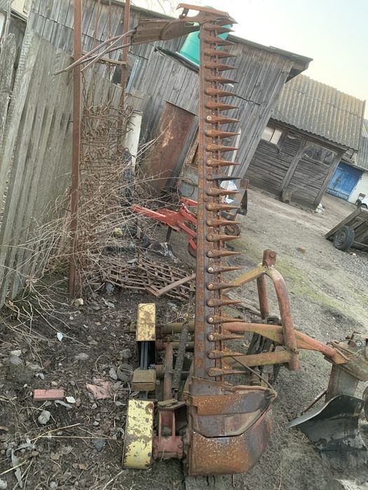 Косарка сегментна польська