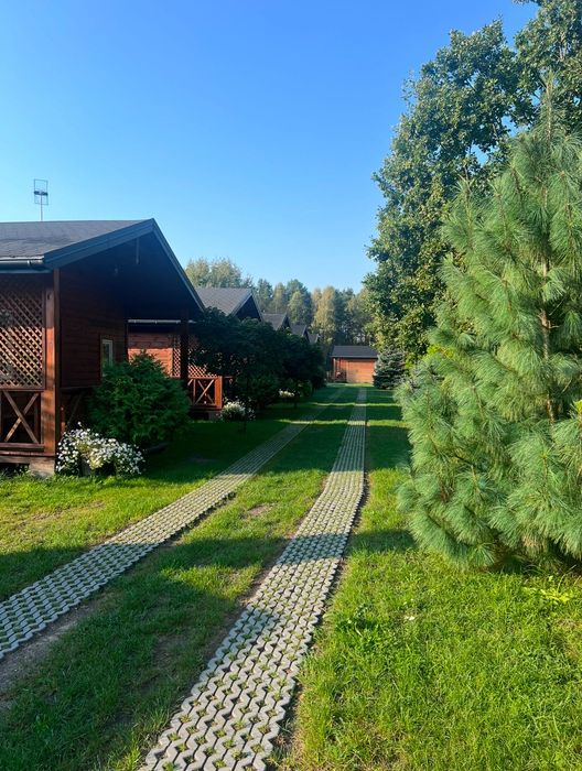 Domki Sielpia Kardamon