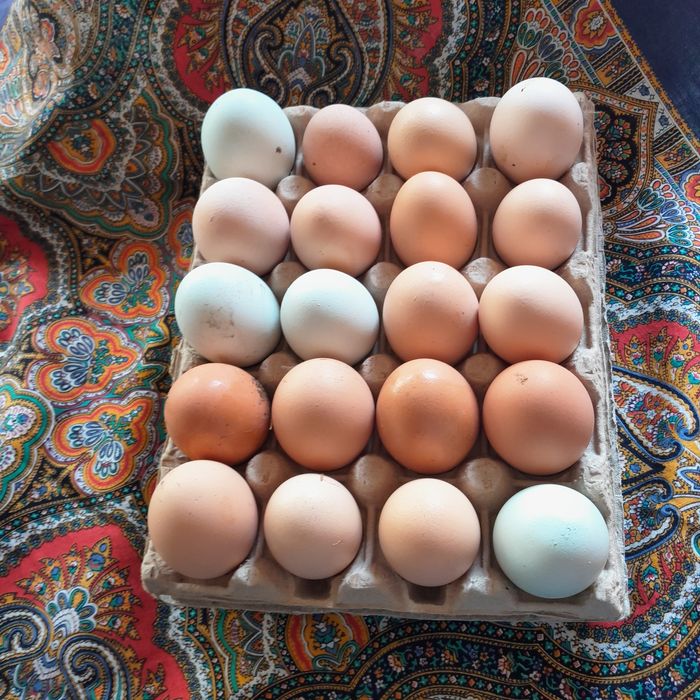 sprzedam jajka prawdziwie wiejskie, kontakt telefoniczny.