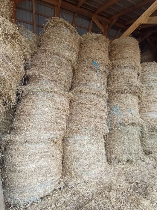 Sprzedam siano zbiór 2025
