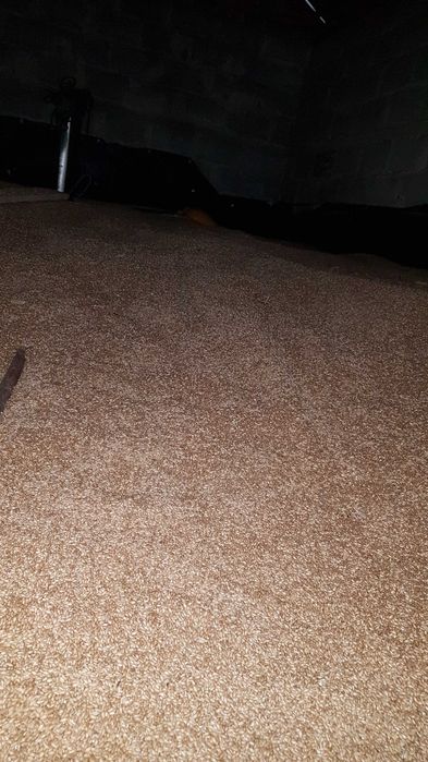 Pszenżyto ozime - bardzo dobrej jakości