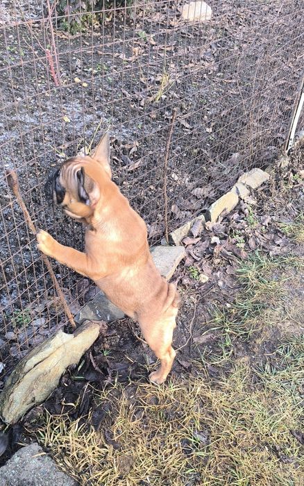 Дівчинка та хлопчик.