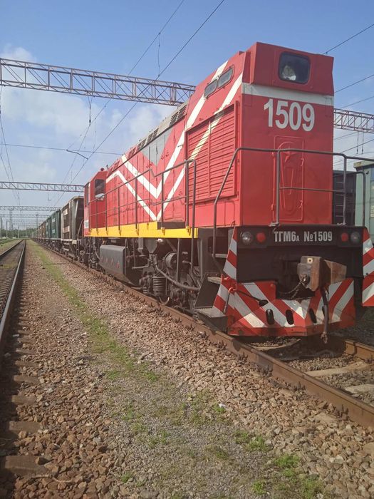 Тепловоз ТГМ 6А №1509