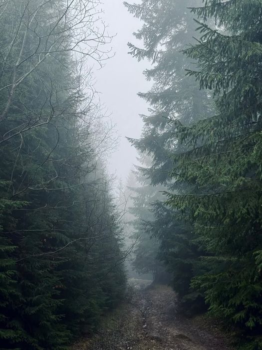 Гостинний двір Ворохта