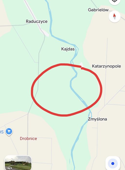 Sprzedam lasy w Drobnicach