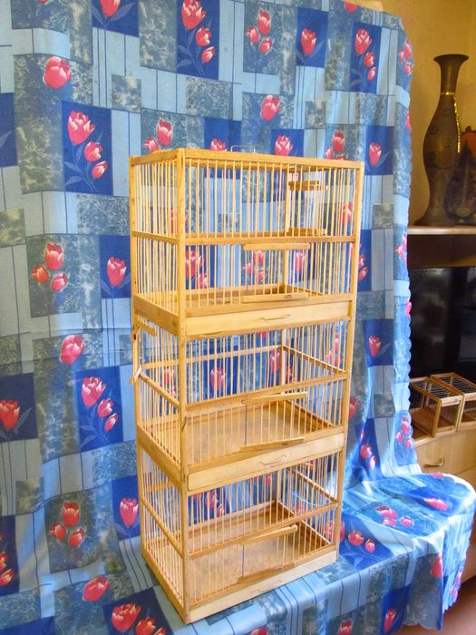 Клетка для содержания и разведения птиц