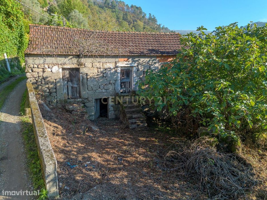 Quinta com 2,8 ha e Casa em Ruína para Recuperar – Covelas, Cinfães (V