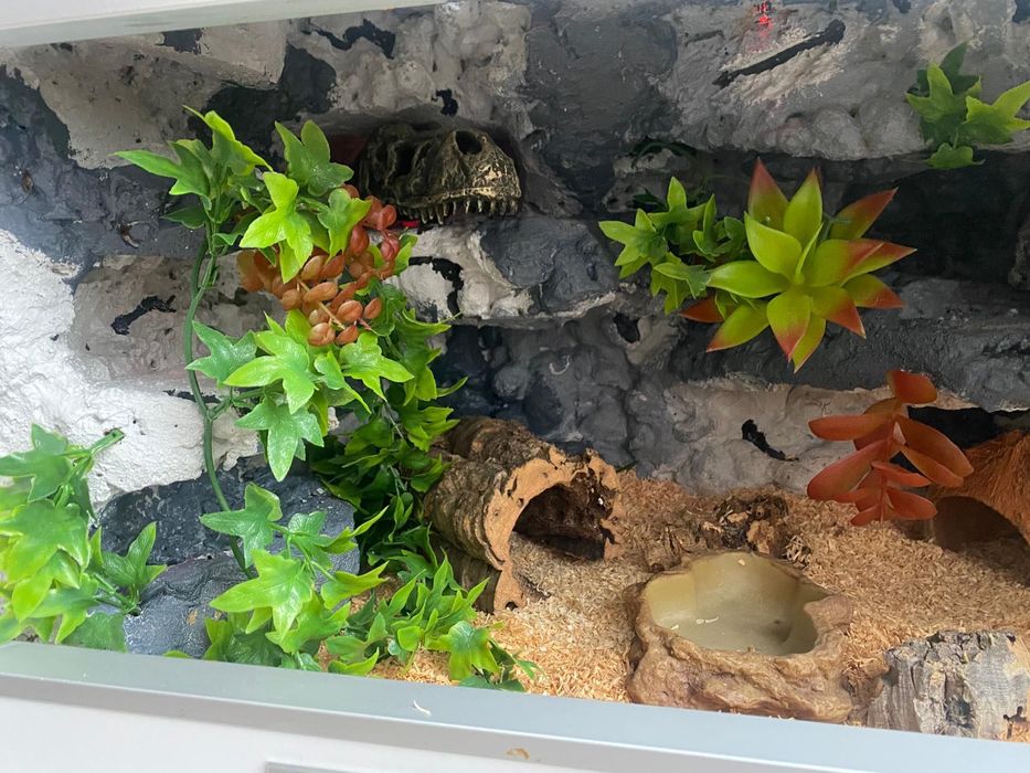 Terrarium  z wyposażeniem. 60/40/40 cm