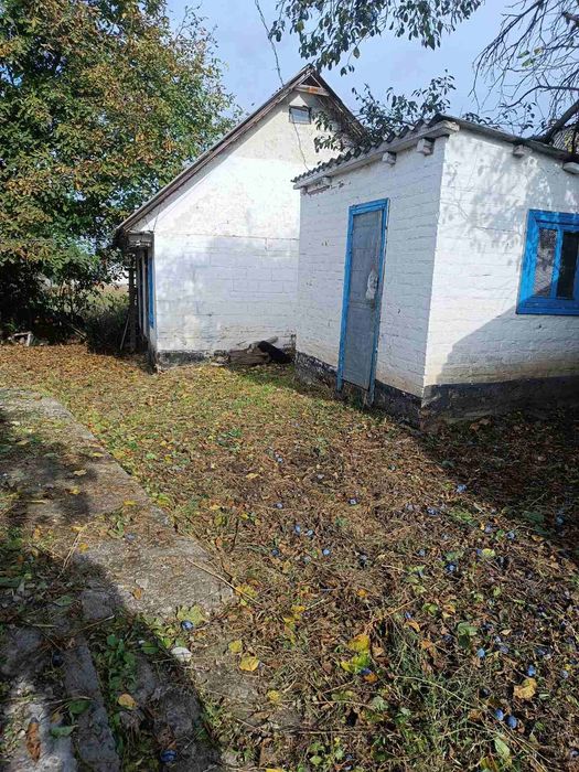 Продається будинок в смт Володарка