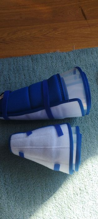 Cone de recuperação para animais de estimação