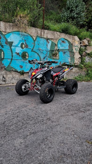 Yamaha YFM 250  Raptor