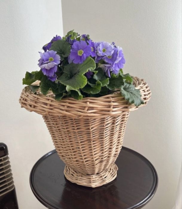 Cache-pot decorativo